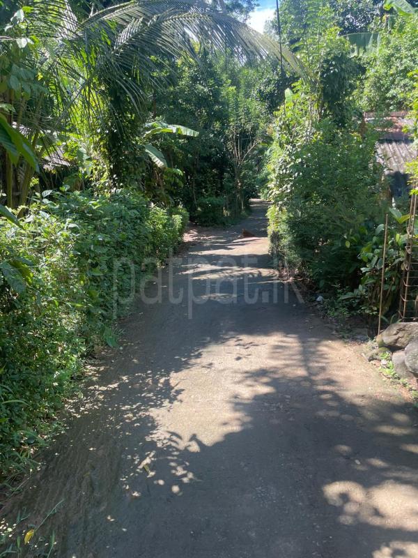 Residential Land for Sale in Digana
