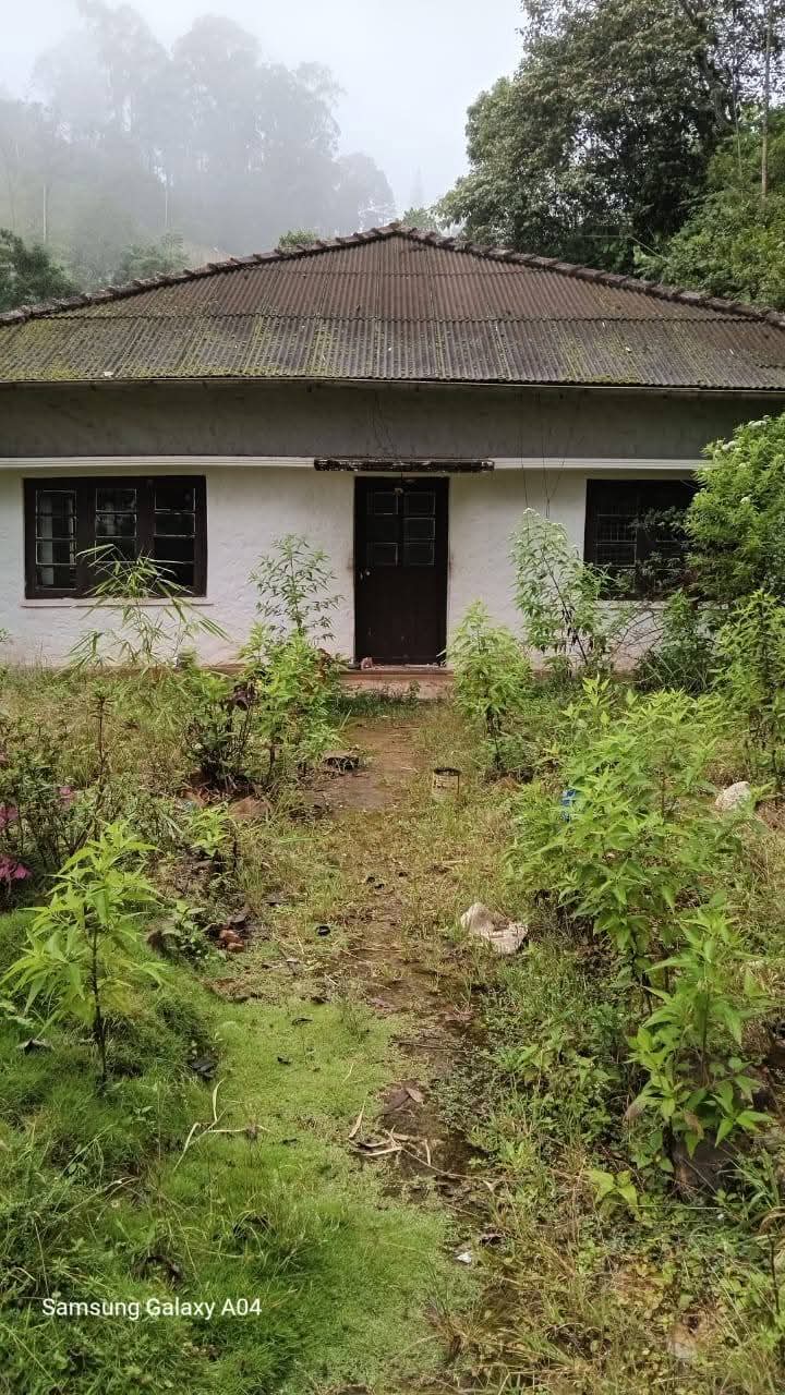 Commercial Land for Sale in Haputale