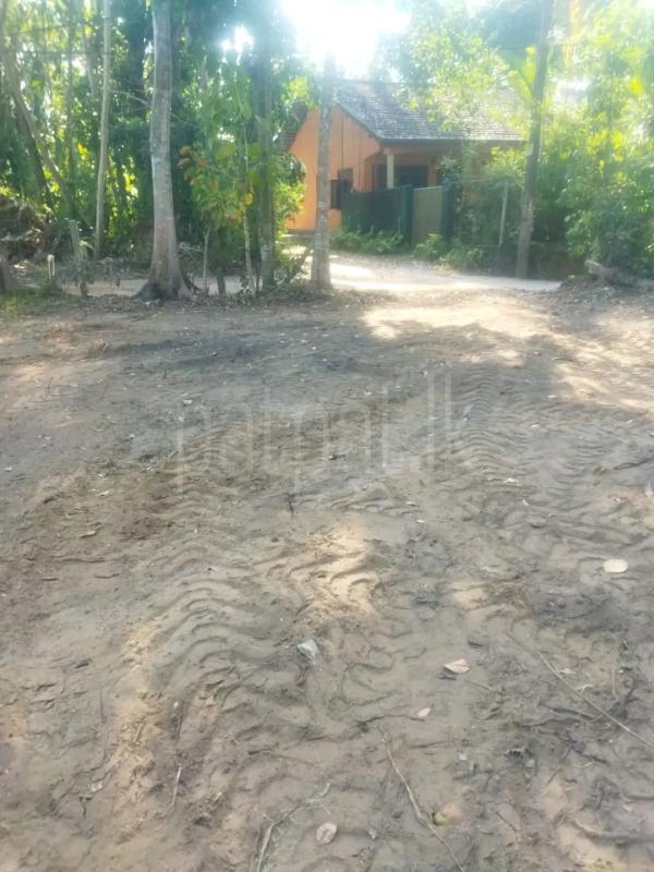 Commercial Land for Sale in Wattala