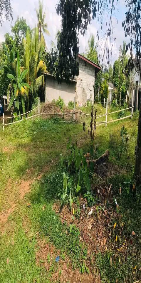Residential Land for Sale in Homagama