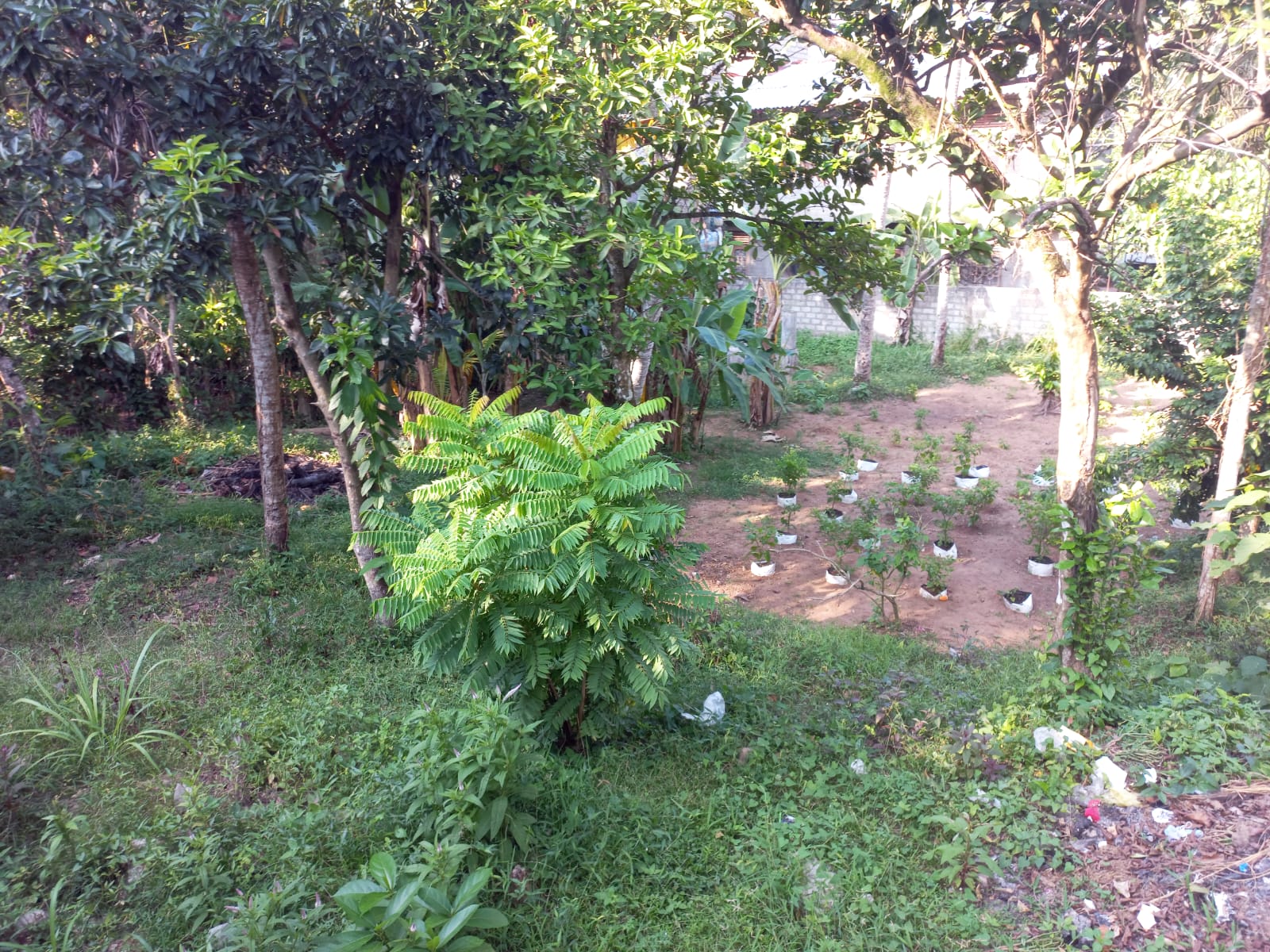 Residential Land for Sale in Kalutara