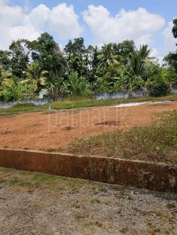 Commercial Land for Sale in Weliveriya ads-image-1