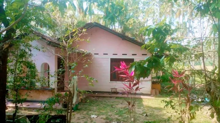 Commercial Land for Sale in Narammala ads-image-1