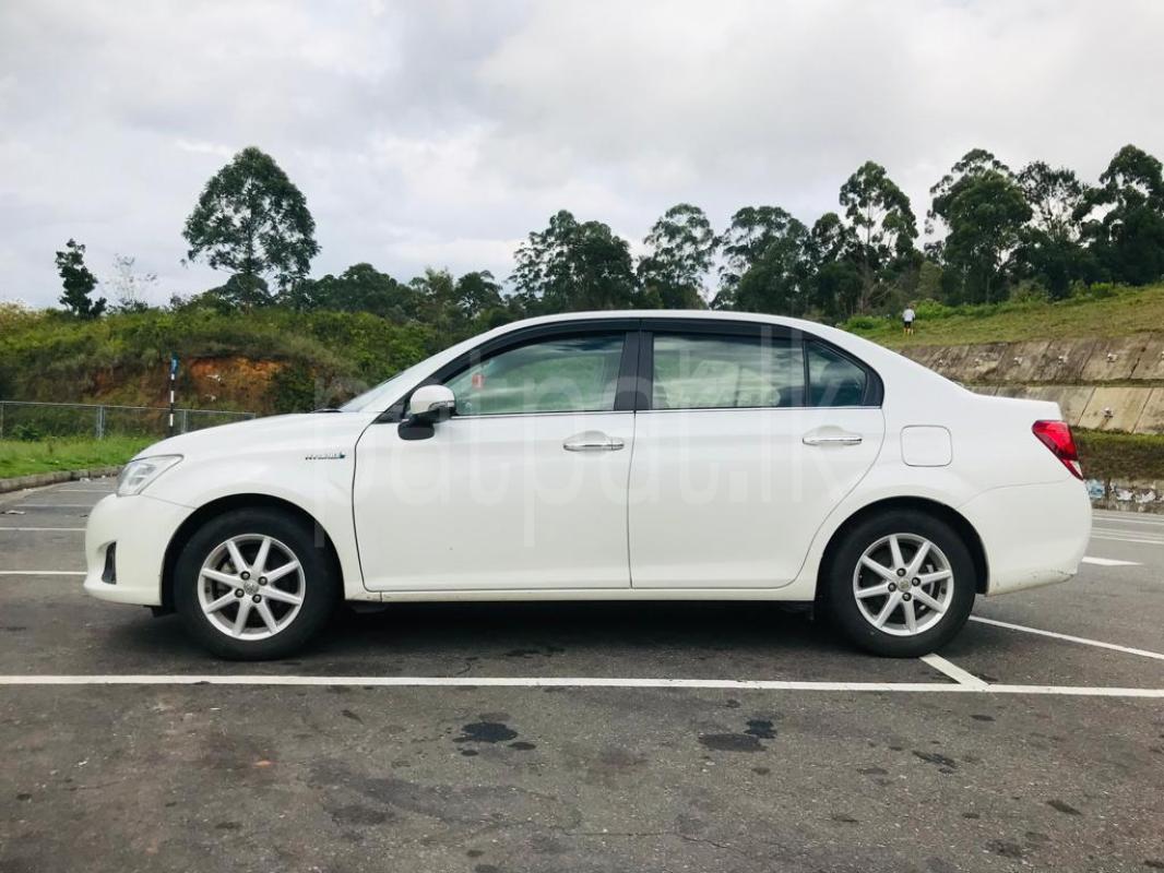 Toyota Axio 2014 - භාවිතා කරන ලද කාර් sale in Sri Lanka - patpat.lk