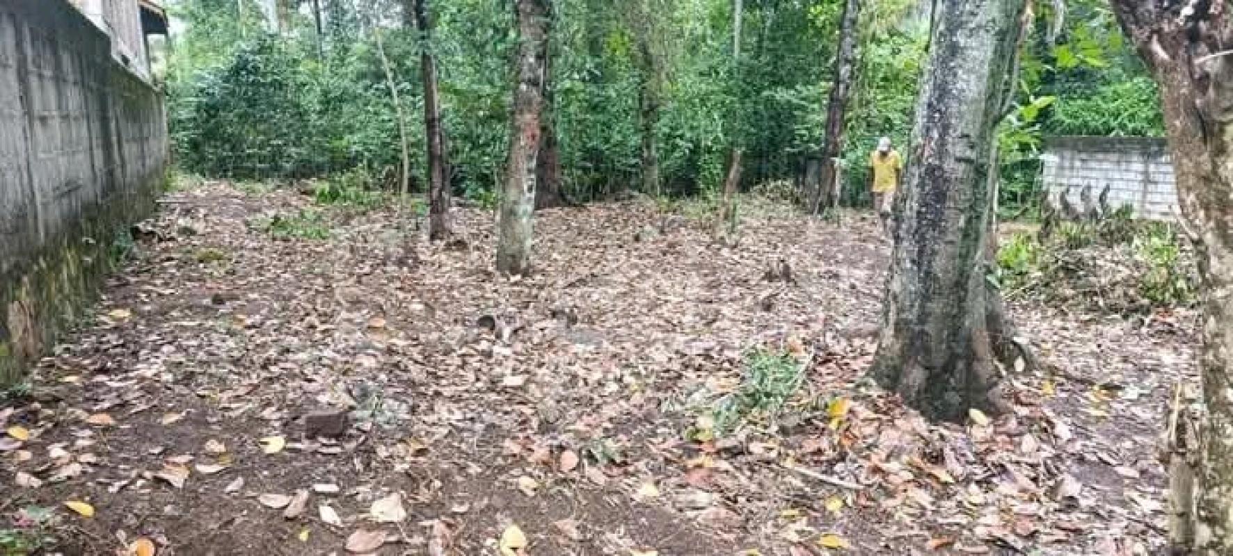 Commercial Land for Sale in Pallekelle