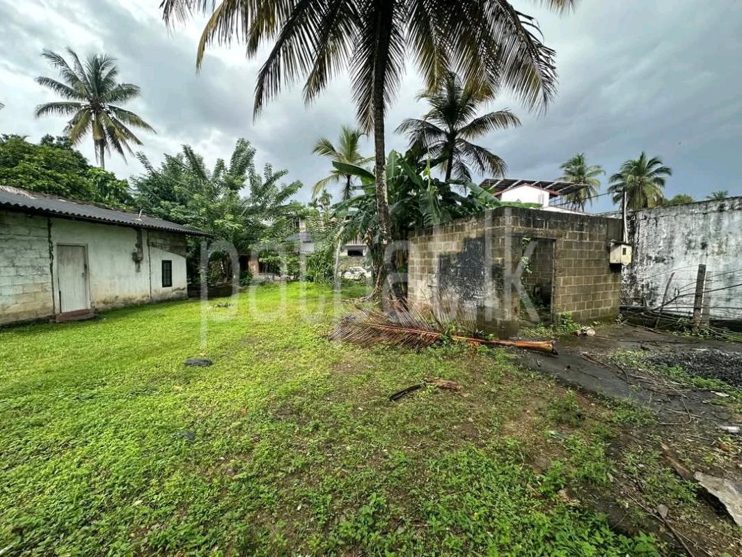 Residential Land for Sale in Ja-Ela