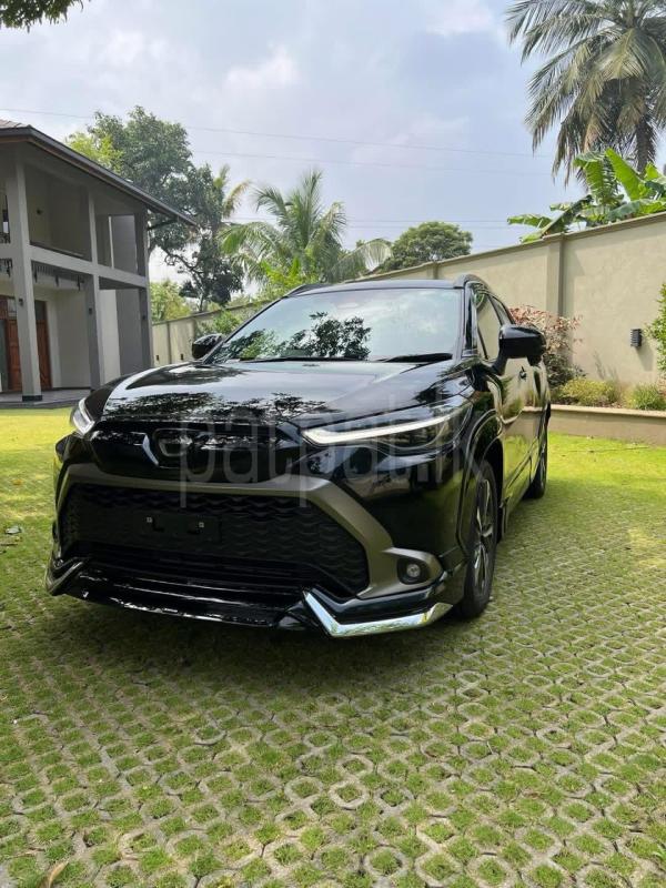 Advertisement image 1