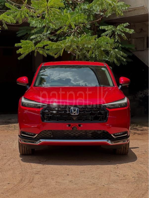 Advertisement image 2