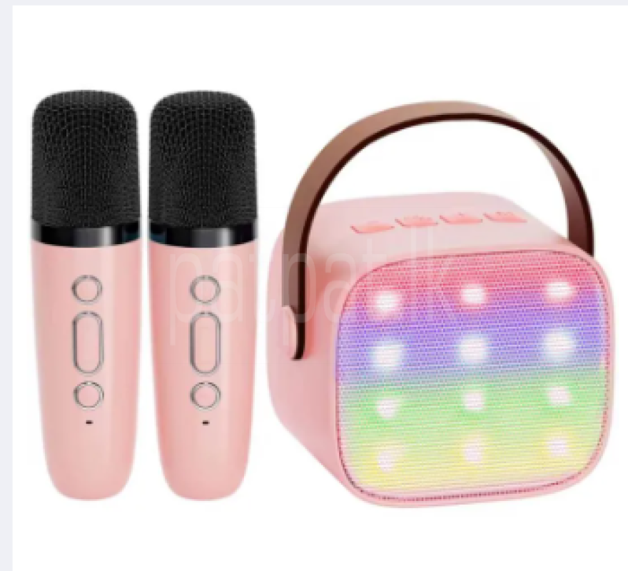 K12 SPEAKER WITH ONE & TWO MIC