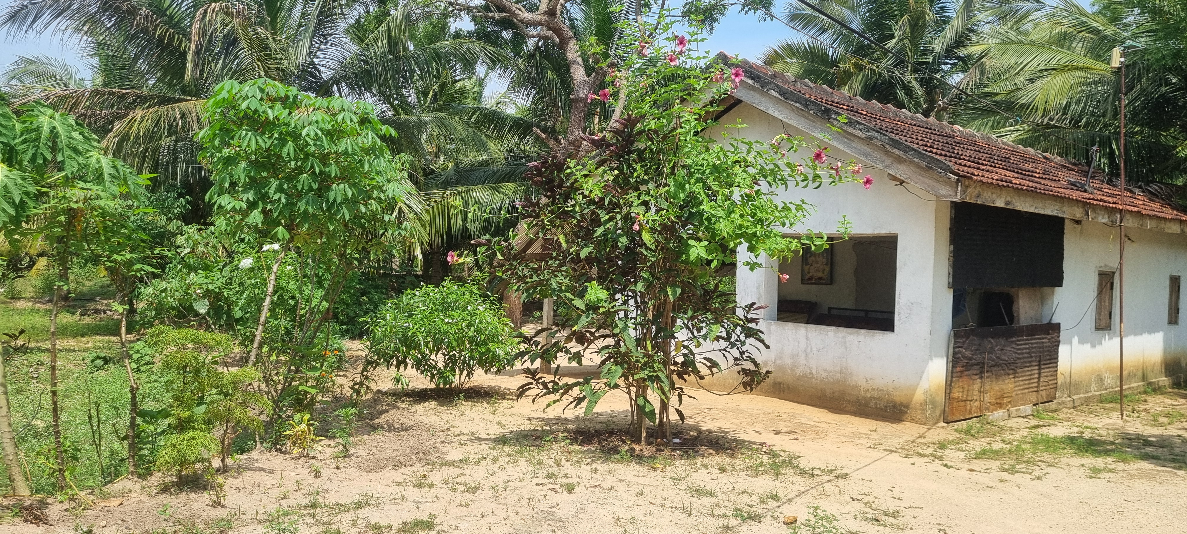 Commercial Land for Sale in Kokkaddichcholai