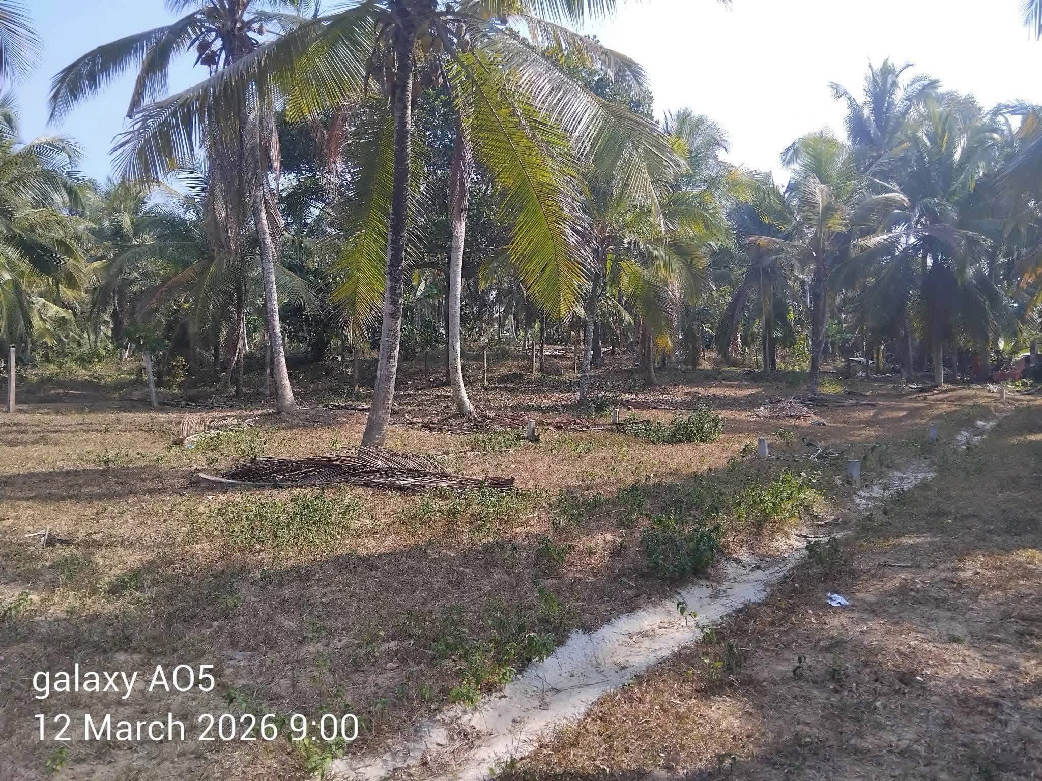 Commercial Land for Sale in Kadawatha ads-image-1
