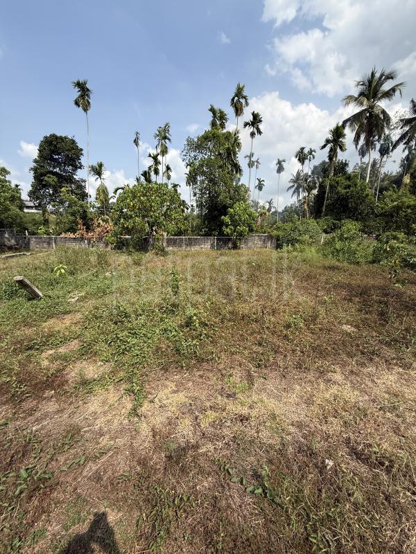 Residential Land for Sale in Godagama