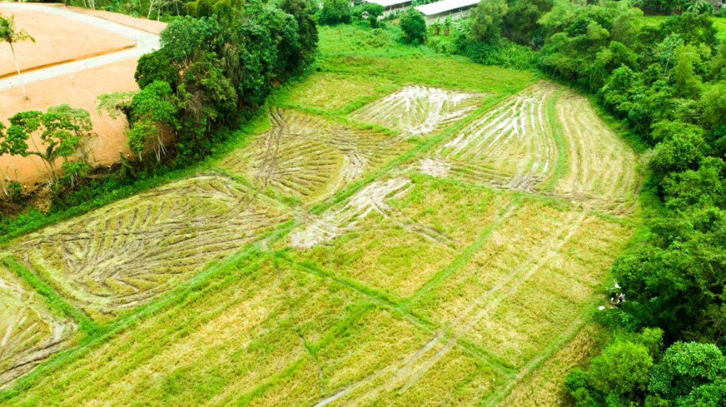 Residential Land for Sale in Veyangoda ads-image-1