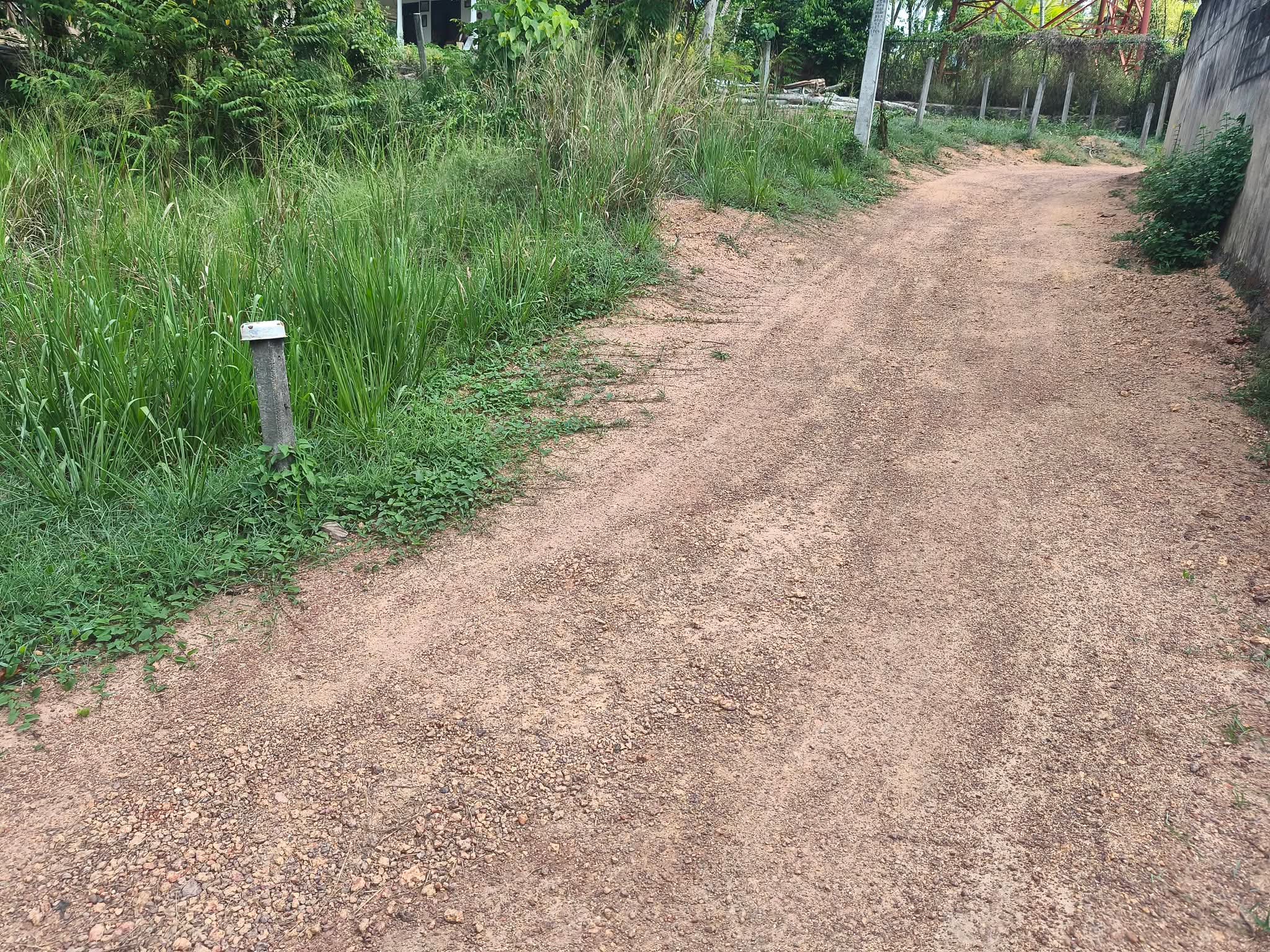 Agricultural Land for Sale in Ganemulla