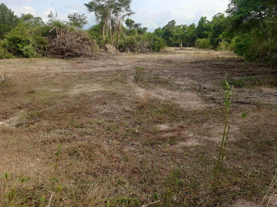 Agricultural Land for Sale in Galgamuwa