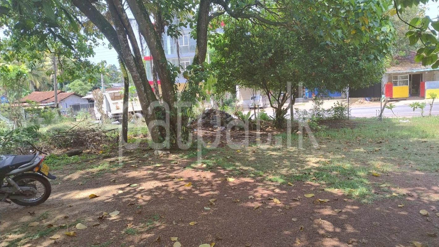 Residential Land for Sale in Kottawa