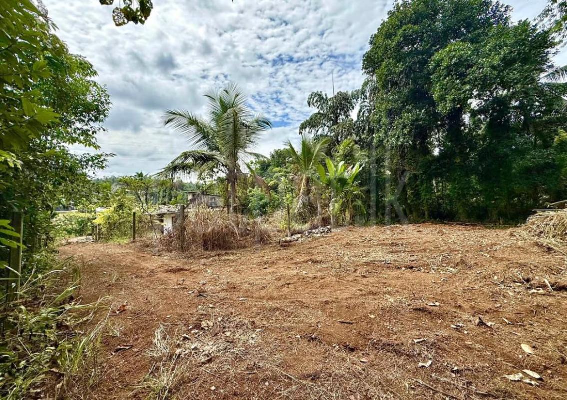 Commercial Land for Sale in Gampaha