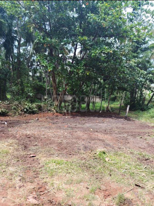 Commercial Land for Sale in Kadawatha