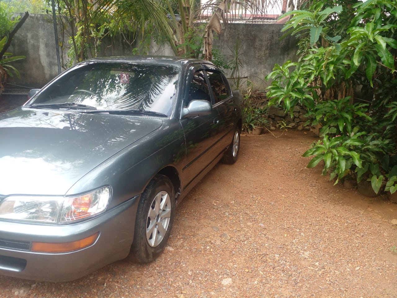 Toyota Corolla 1994 - Used Car sale in Sri Lanka - patpat.lk