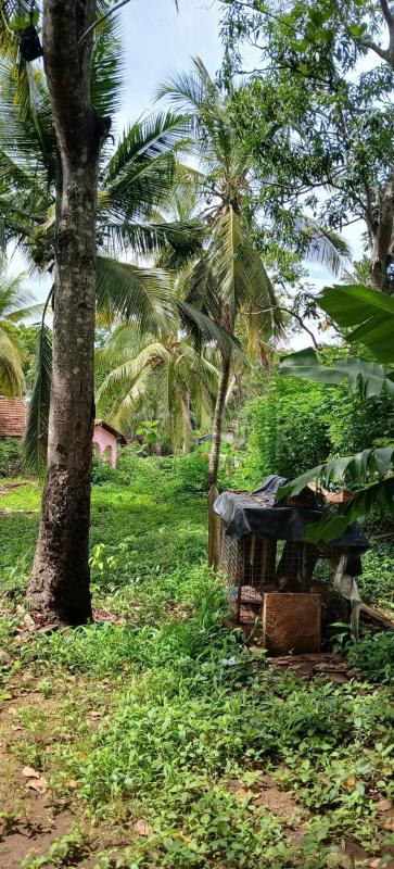 Residential Land for Sale in Kataragama