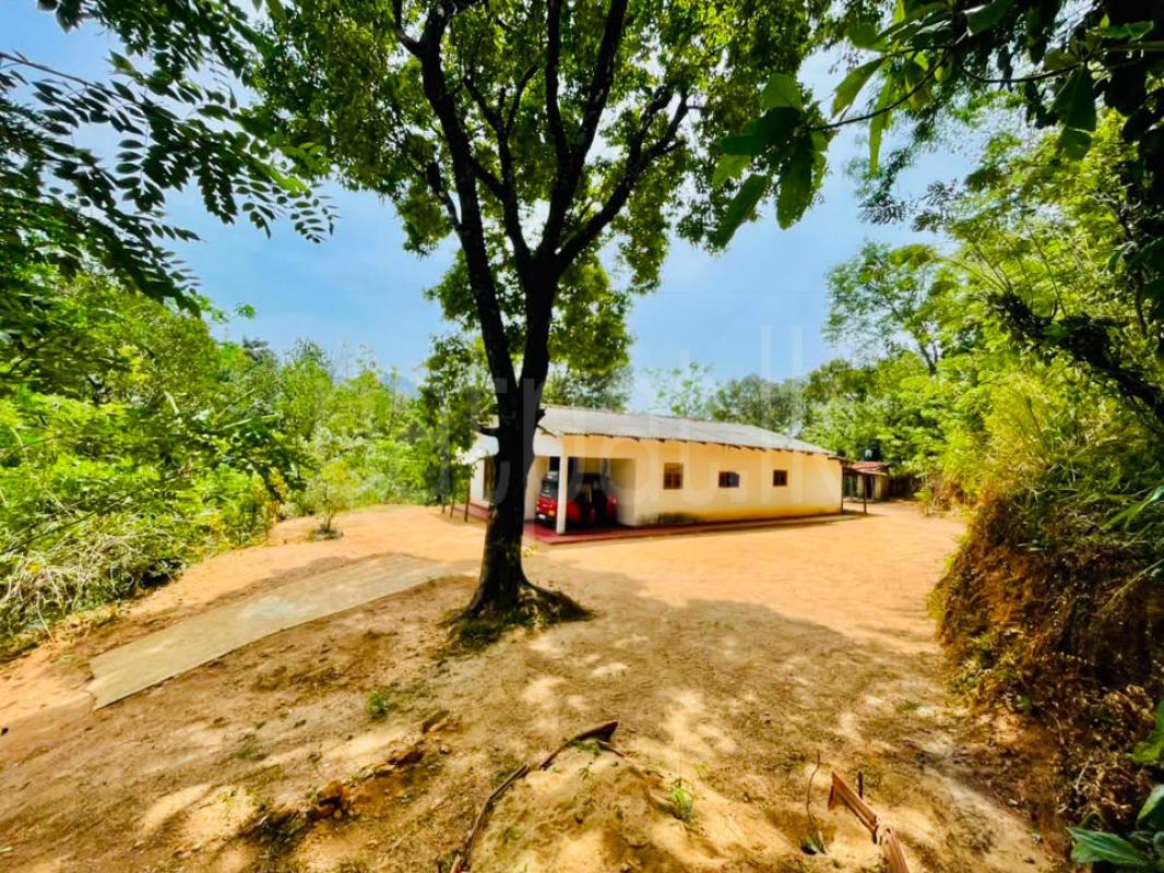 Agricultural Land for Sale in Kandy