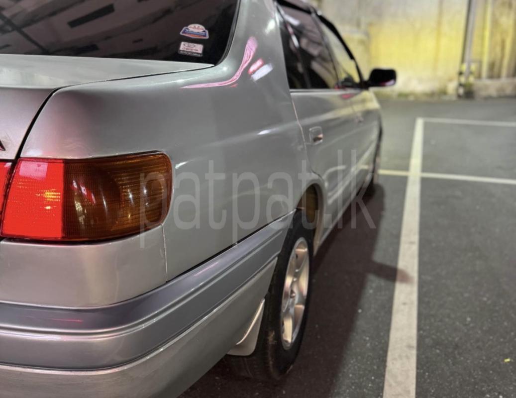 Advertisement image 6