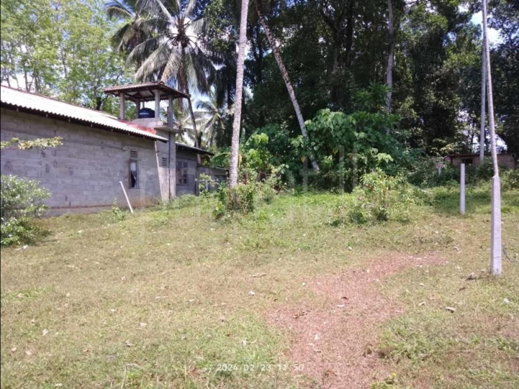 Advertisement image 3