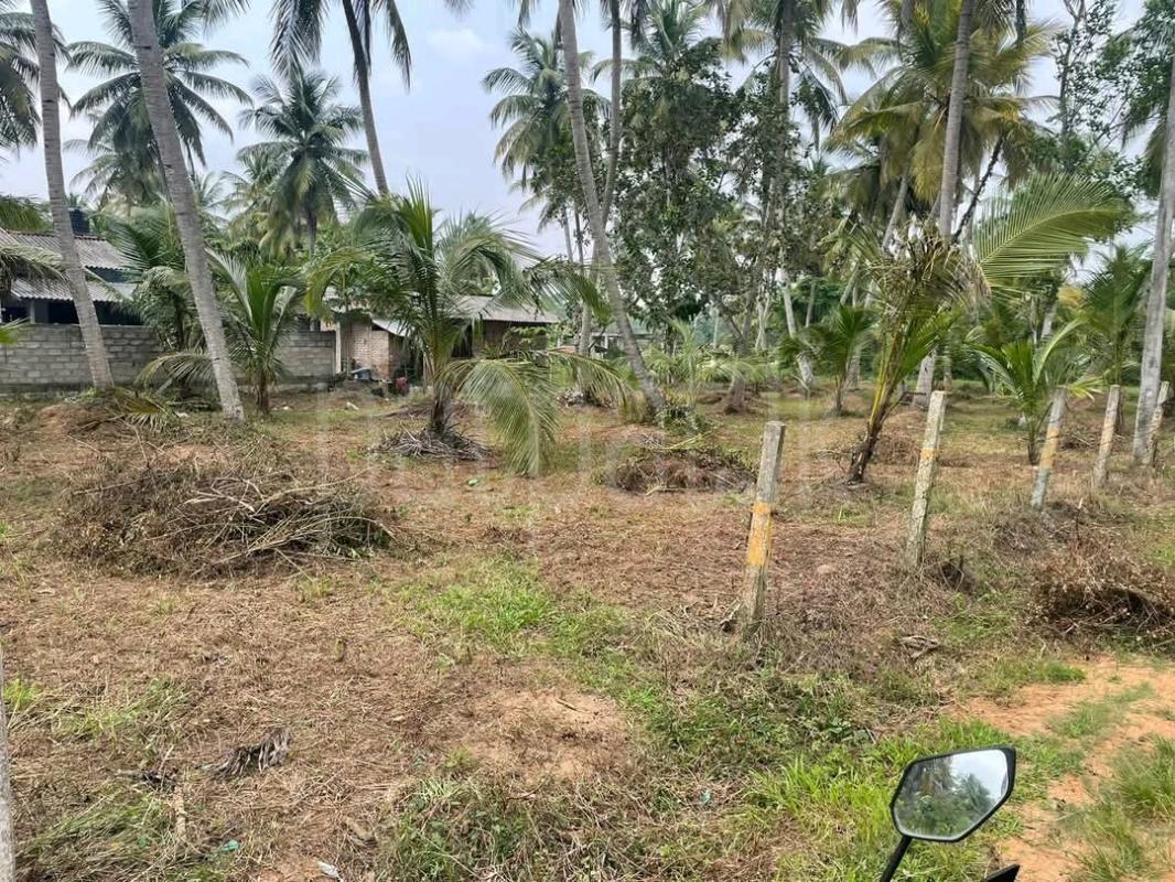 Agricultural Land for Sale in Ridigama ads-image-1