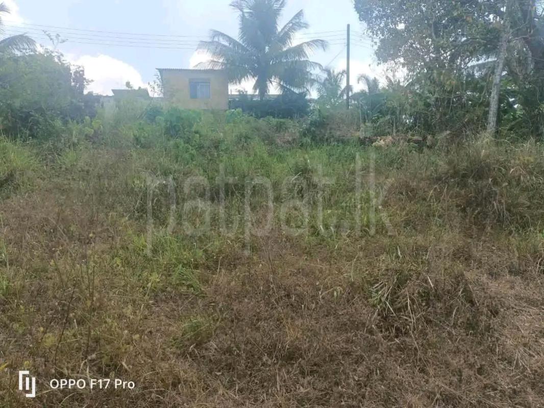 Agricultural Land for Sale in Mawathagama
