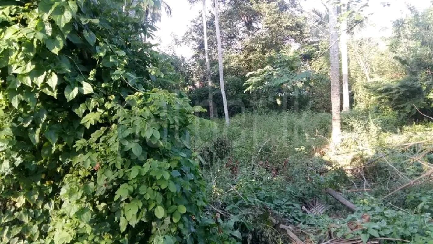 Residential Land for Sale in Tangalla