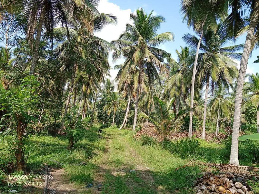 Agricultural Land for Sale in Hiripitiya