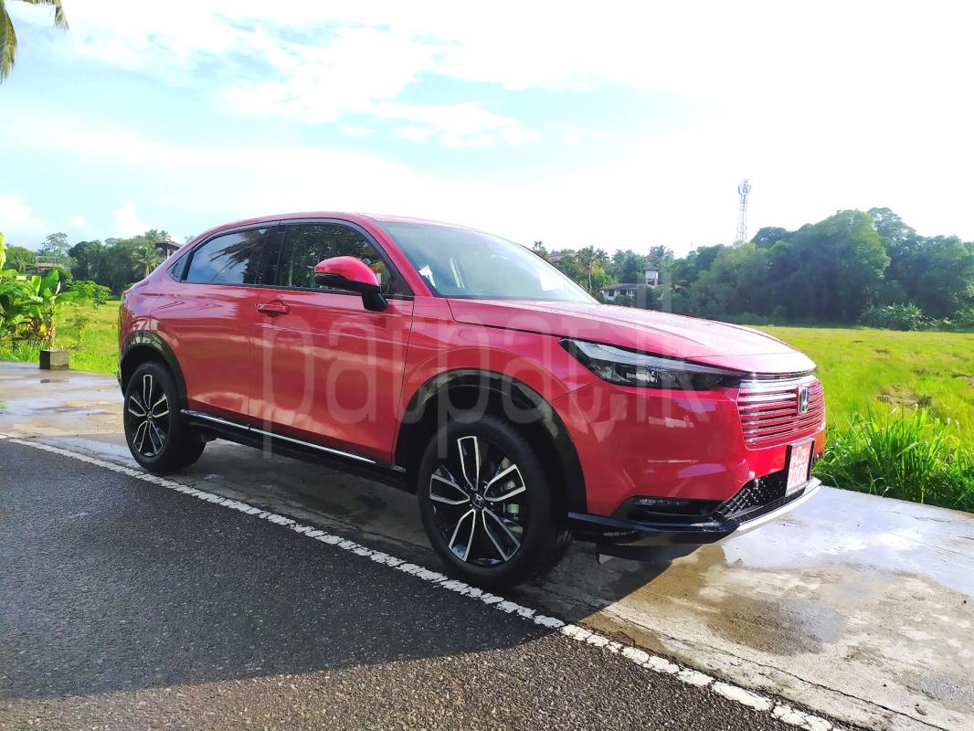 Advertisement image 1