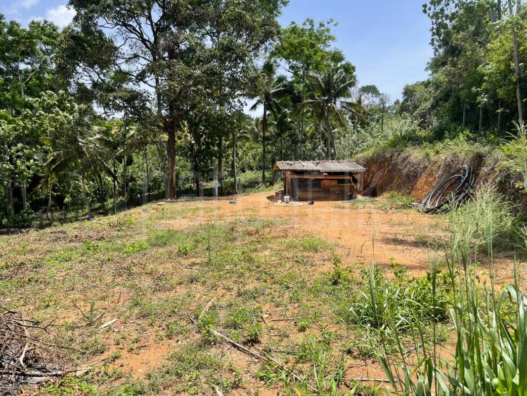 Residential Land for Sale in Balangoda