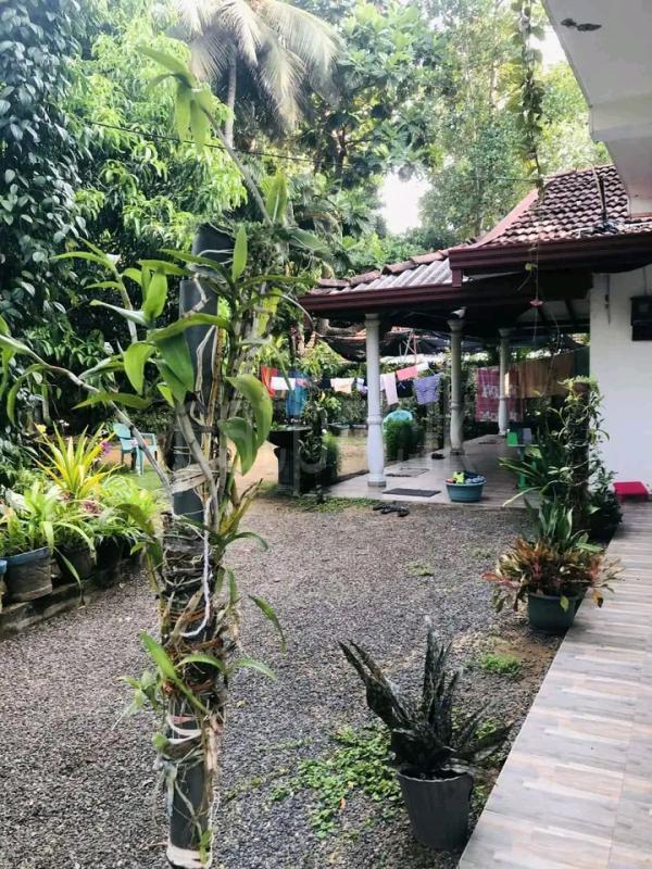 House for Sale in Hambantota