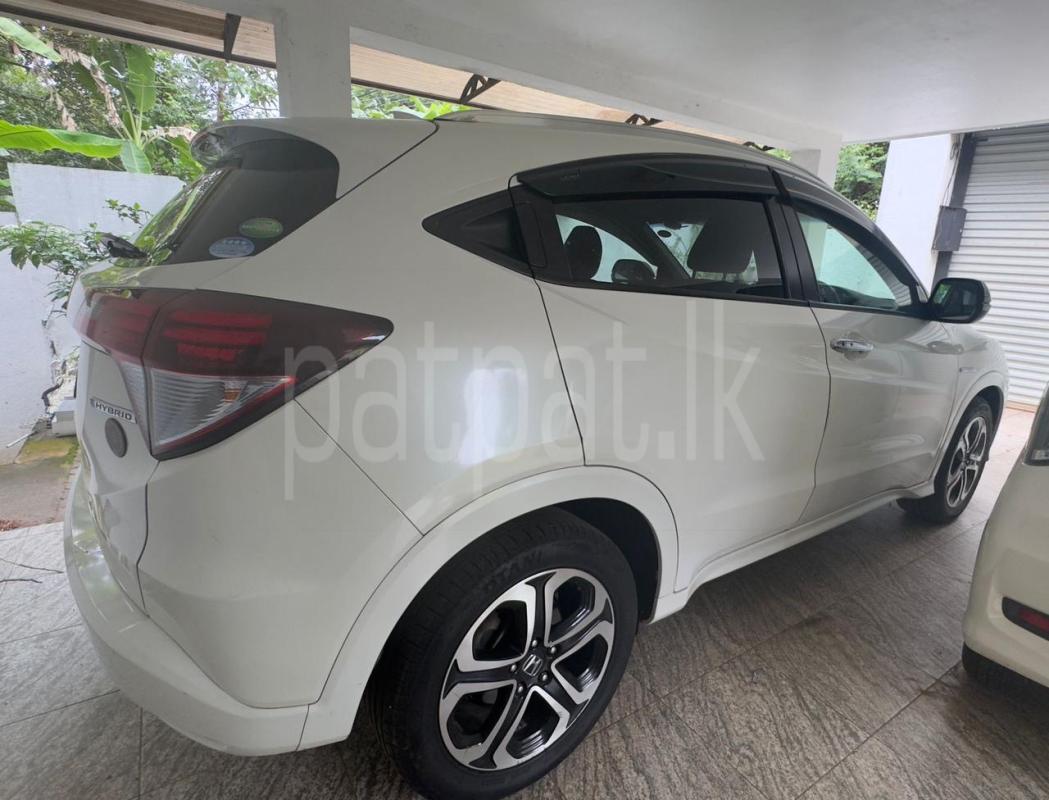 Advertisement image 5