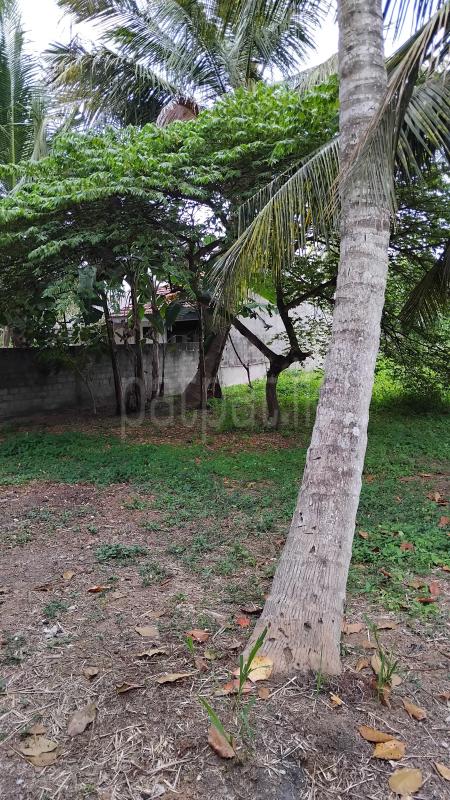 Residential Land for Sale in Negombo