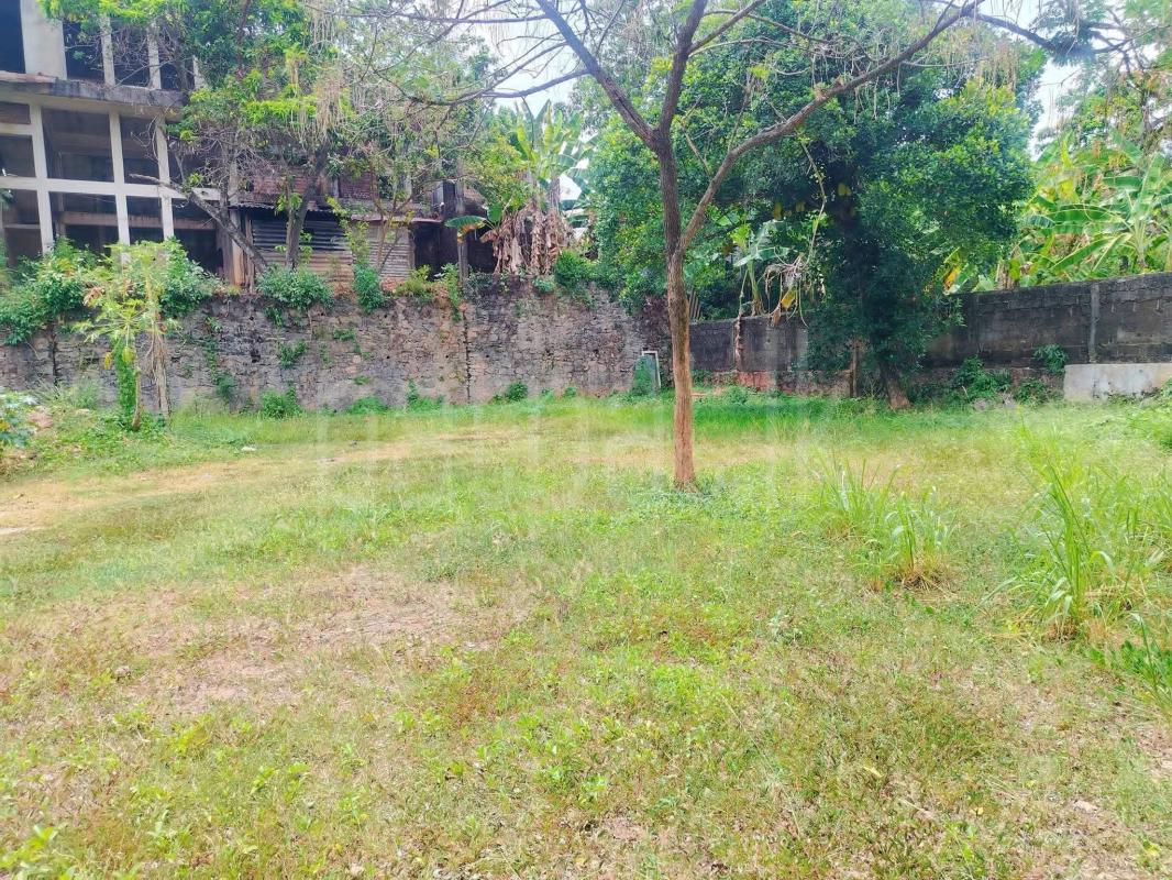 Residential Land for Sale in Talawatugoda