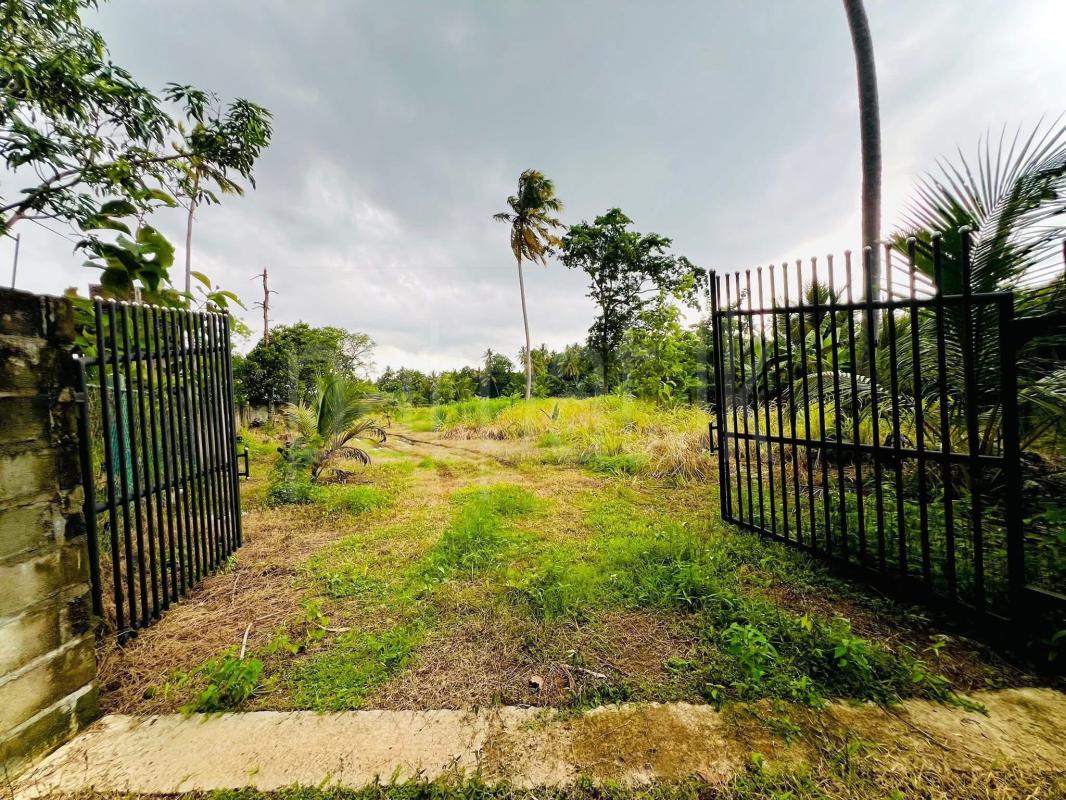 Residential Land for Sale in Kurunegala