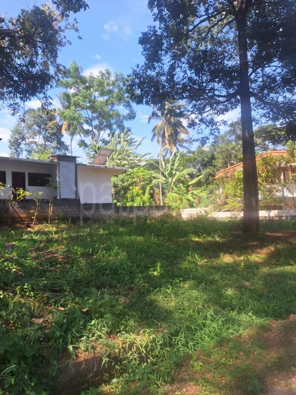 Residential Land for Sale in Kundasale ads-image-1