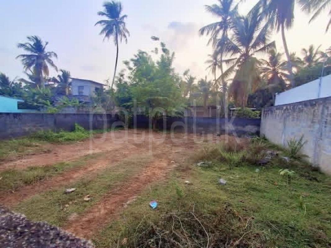 Residential Land for Sale in Panadura ads-image-1
