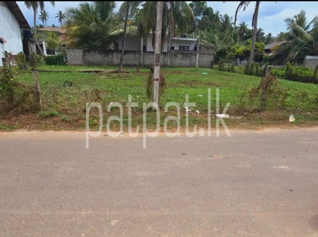 Commercial Land for Sale in Negombo