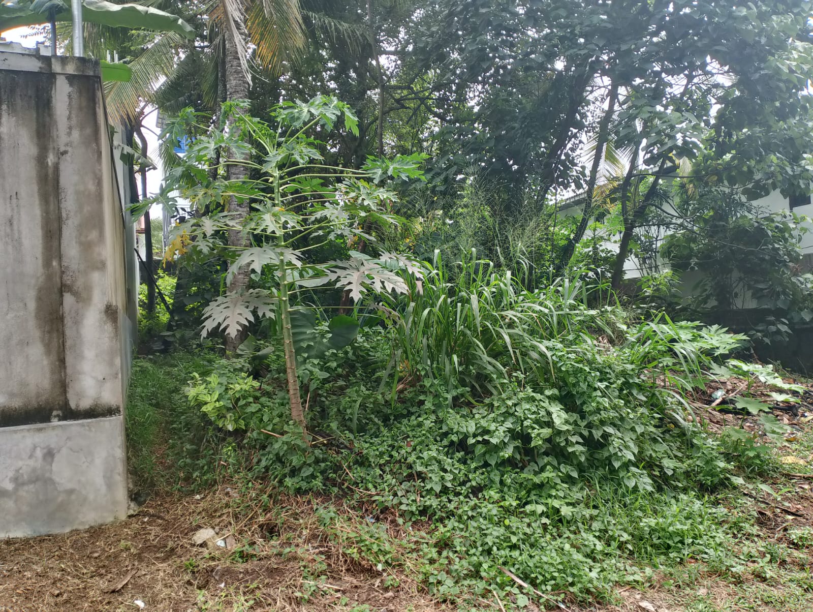 Residential Land for Sale in Panadura