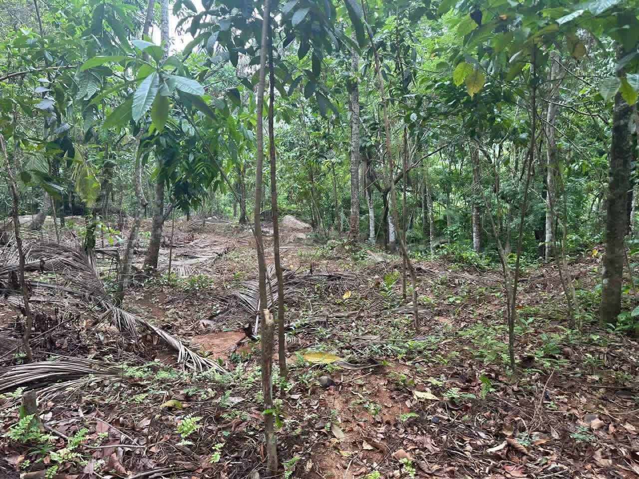 Residential Land for Sale in Nittambuwa