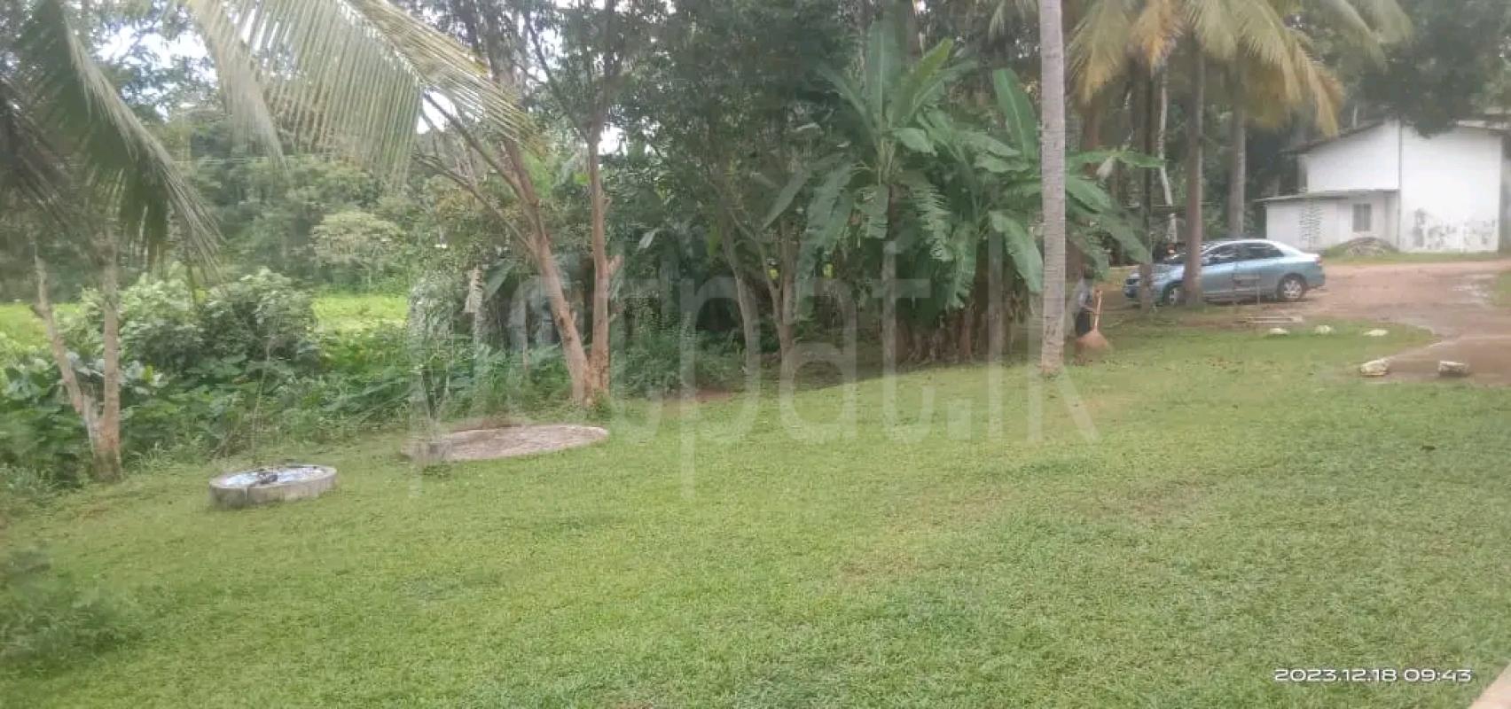 Agricultural Land for Sale in Veyangoda