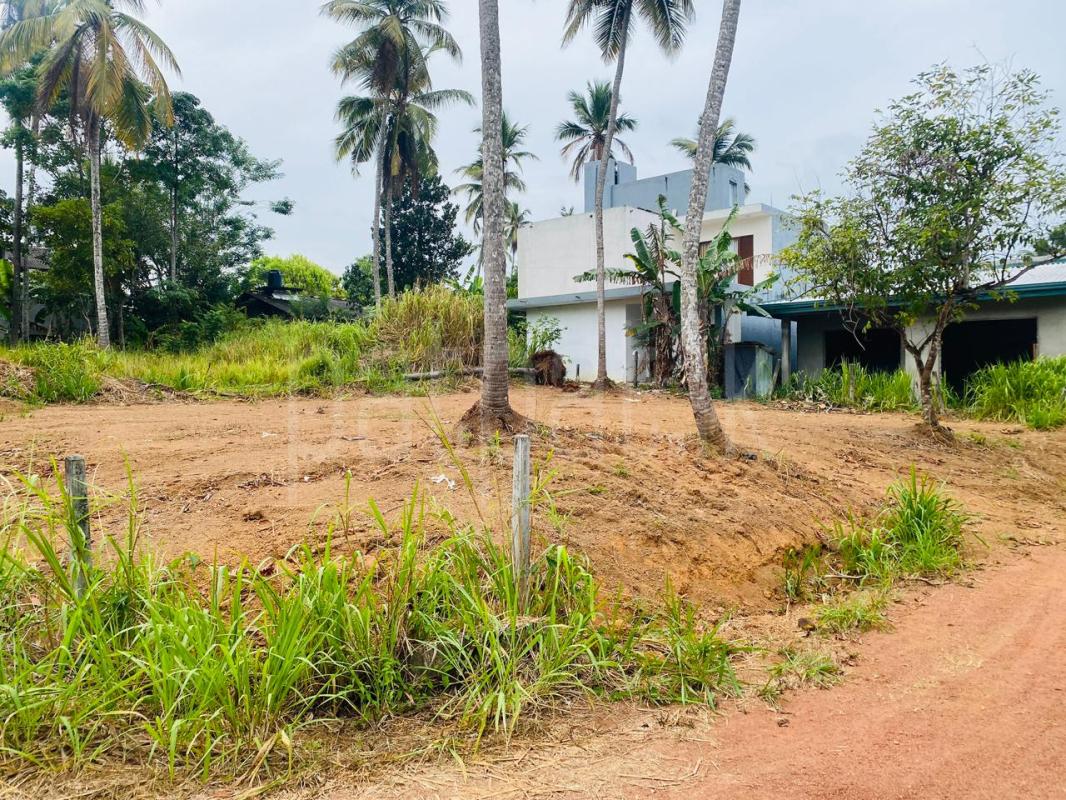 Residential Land for Sale in Kalagedihena