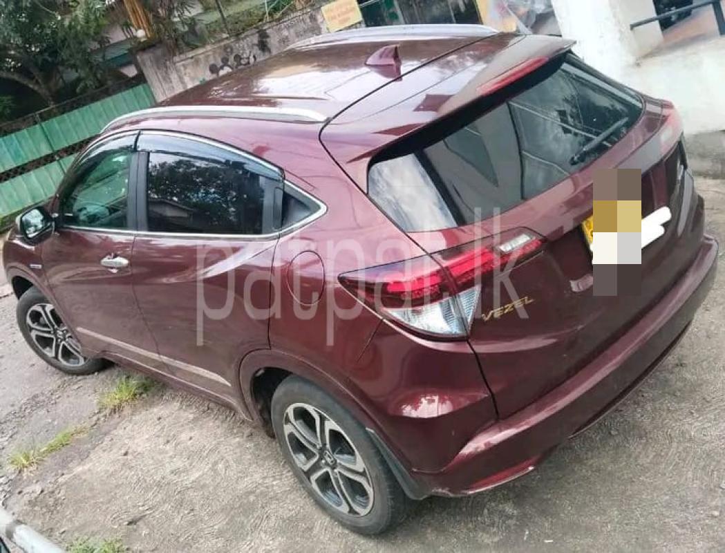 Advertisement image 2