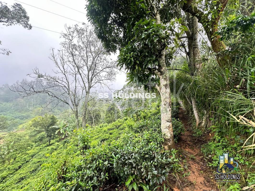 Commercial Land for Sale in Bandarawela