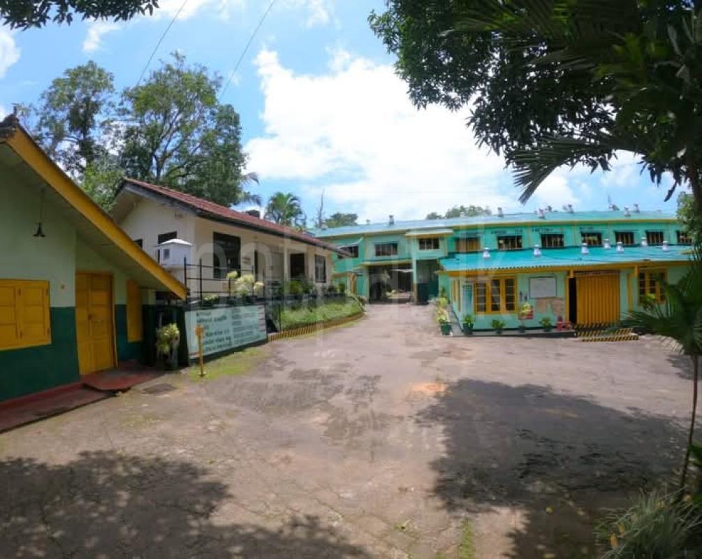 Advertisement image 5