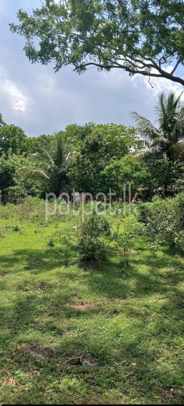 Residential Land for Sale in Kataragama