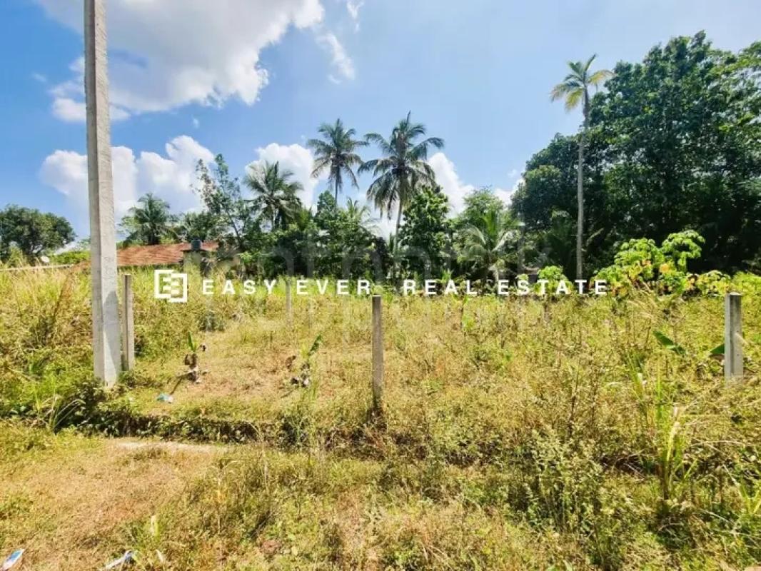 Commercial Land for Sale in Minuwangoda